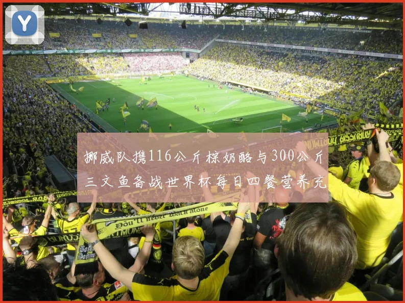 挪威队携116公斤棕奶酪与300公斤三文鱼备战世界杯每日四餐营养充足